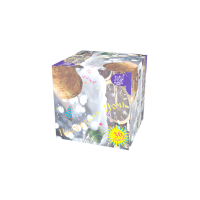 Новогодняя ночь Салют купить в Серпухове | serpuhov.salutsklad.ru