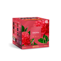 Пионы Салют купить в Серпухове | serpuhov.salutsklad.ru