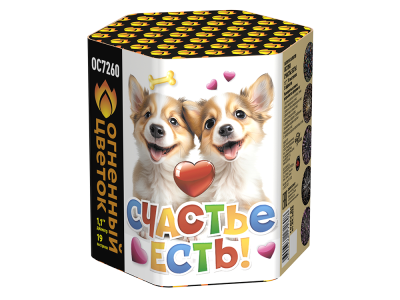 Счастье есть! Салют купить в Серпухове | serpuhov.salutsklad.ru